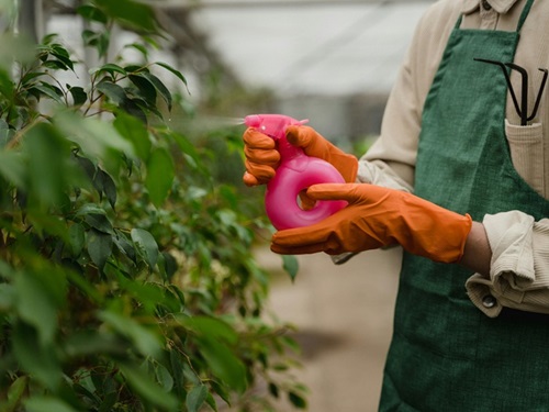 γ-Terpinen: wszechstronny półprodukt do syntezy organicznej